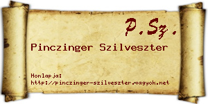 Pinczinger Szilveszter névjegykártya